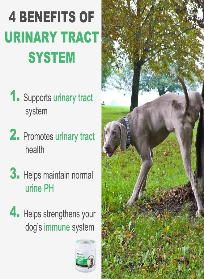 MARIMER Urinary Tract Support for Dogs – Cranberry, D-Mannose, Marshmallow Root & Vitamin C – Soft Chews for Bladder & Kidney Health – Chicken Flavor – 100 Count – for Dogs - Image 2